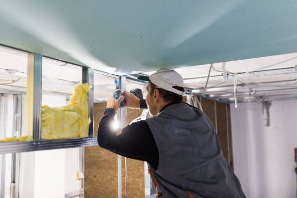Types of Insulation We Offer in Monroe, LA