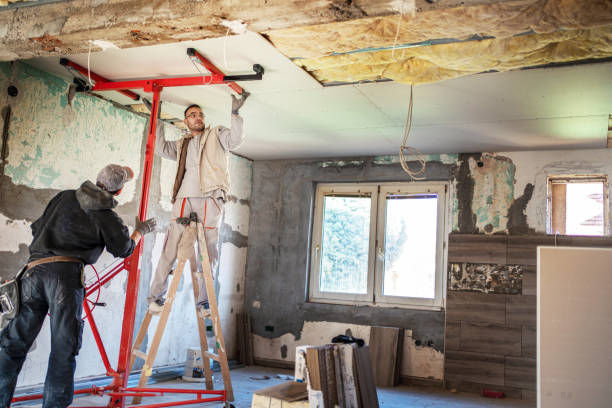Best Cellulose Insulation in Monroe, LA