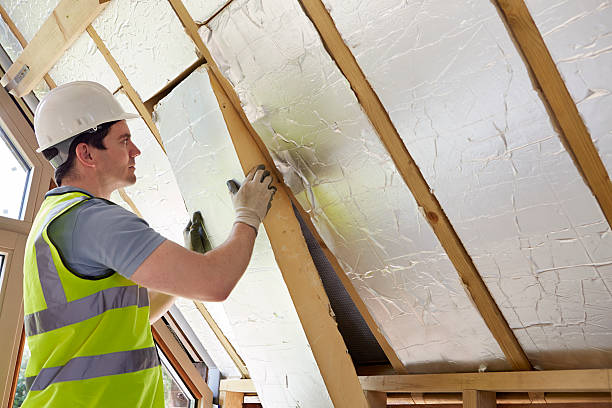 Best Eco-Friendly Insulation in Monroe, LA
