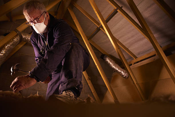 Trusted Monroe, LA Insulation Contractor Experts