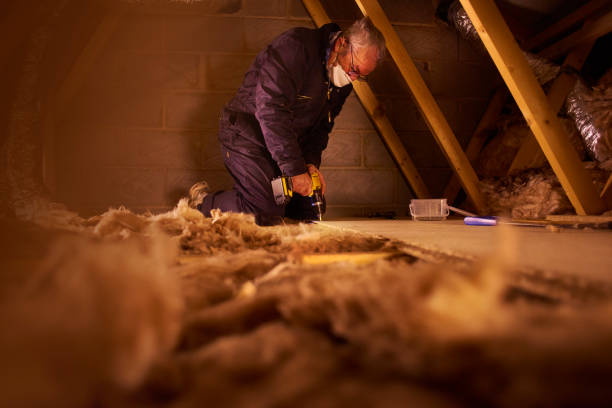 Best Eco-Friendly Insulation in Monroe, LA