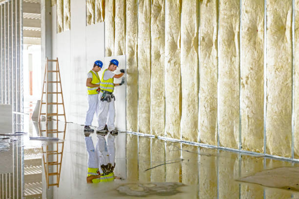 Types of Insulation We Offer in Monroe, LA